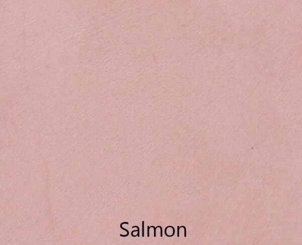 BASECOAT PIGMENT - Image 35